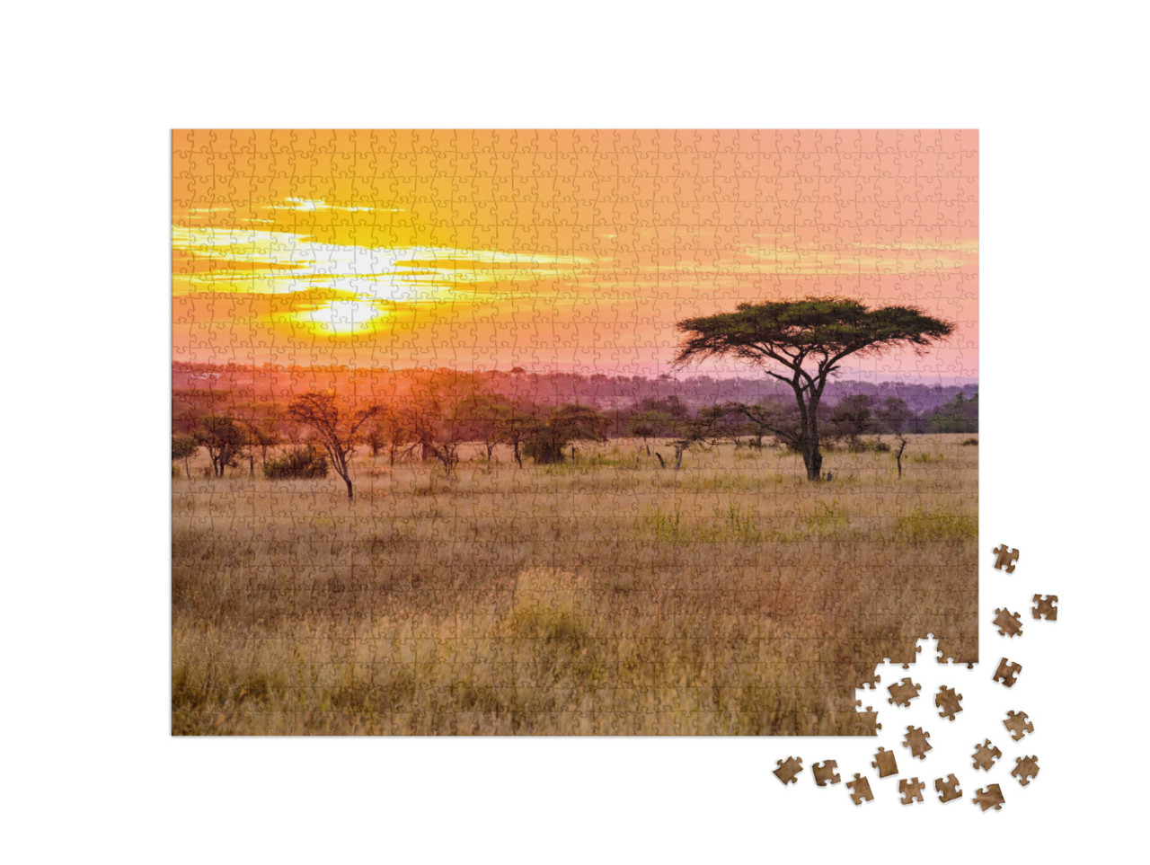 Puzzle 1000 pezzi „Tramonto nella savana africana con alberi di acacia, Tanzania“