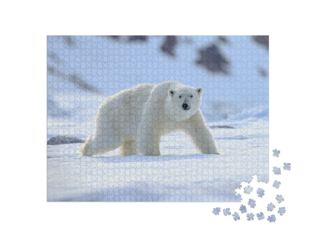 Puzzle 1000 pezzi „Un orso polare, Ursus maritimus“