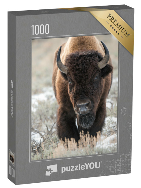 Puzzle 1000 pezzi „Un bisonte, un bufalo“