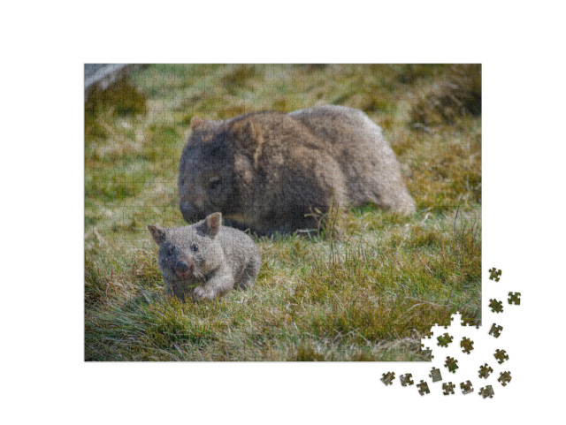 Puzzle 1000 pezzi „Mamma vombato con bambino, Tasmania, Australia“