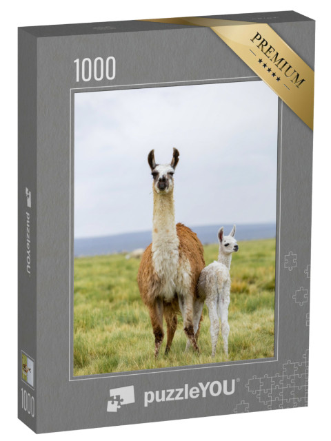 Puzzle 1000 pezzi „Lama con bambino sull'Altiplano in Bolivia“
