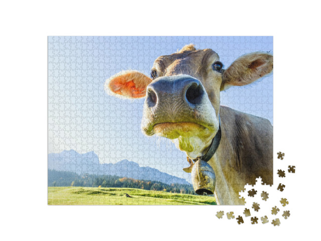 Puzzle 1000 pezzi „Mucca sulle montagne del Kaiser“