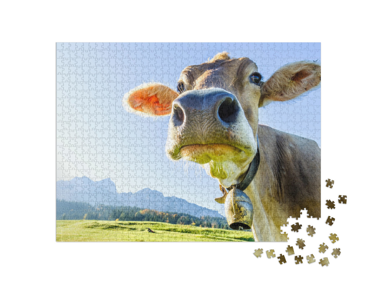 Puzzle 1000 pezzi „Mucca sulle montagne del Kaiser“