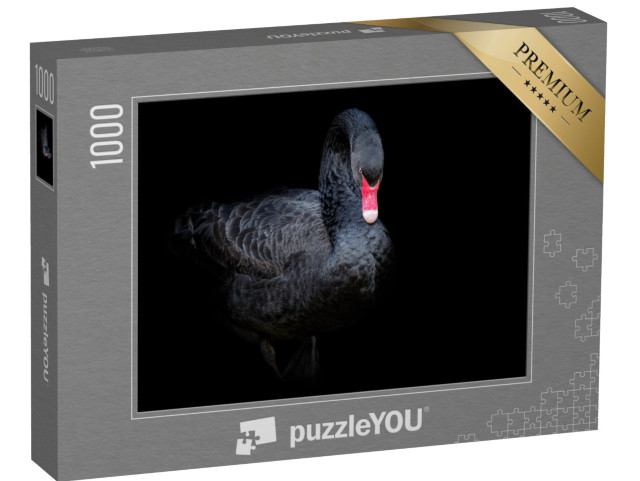 Puzzle 1000 pezzi „Cigno nero“