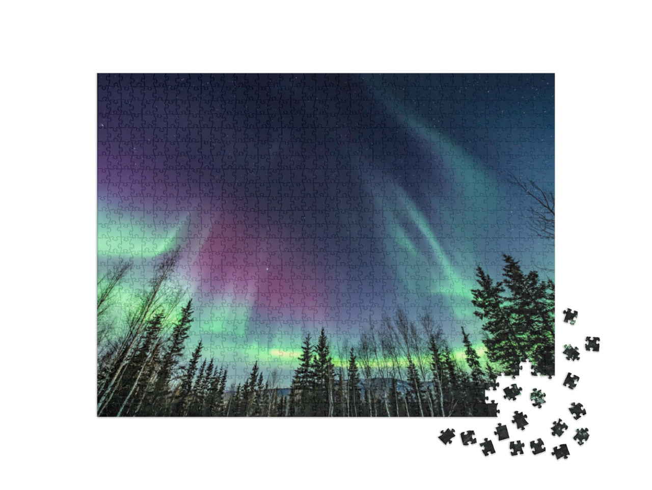 Puzzle 1000 pezzi „L'aurora boreale viola e verde vortica sopra i pini“