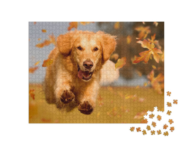 Puzzle 1000 pezzi „Golden Retriever che si scatena tra le foglie d'autunno“