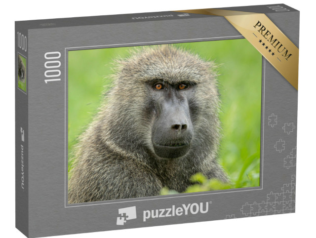 Puzzle 1000 pezzi „Babbuino oliva in Kenya“