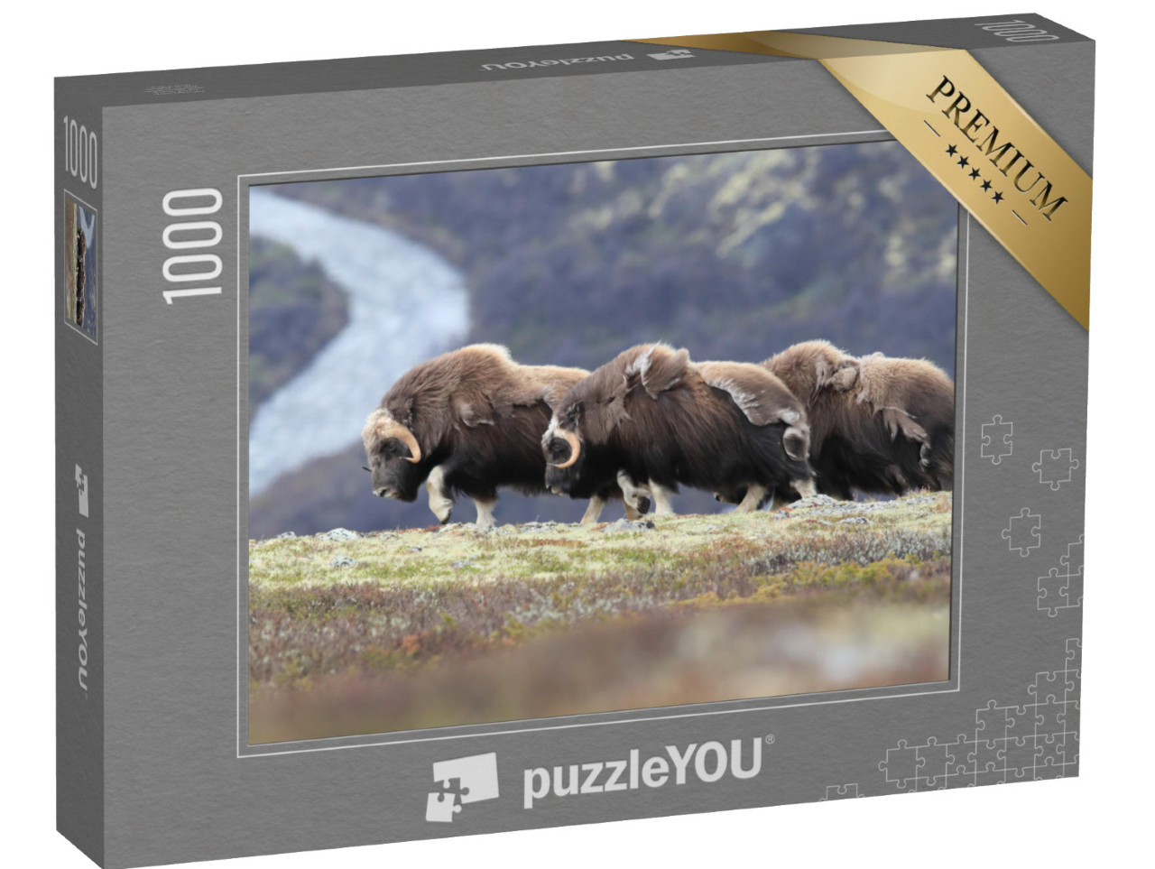 Puzzle 1000 pezzi „Buoi muschiati erranti nel Parco Nazionale di Dovrefjell, Norvegia“