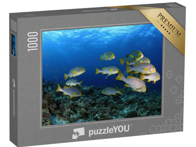 Puzzle 1000 pezzi „Le ninfee orientali nelle acque tropicali delle Maldive“