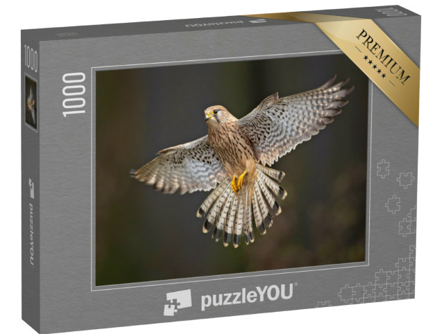 Puzzle 1000 pezzi „Studio dettagliato di un gheppio in volo“