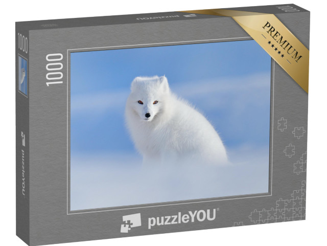 Puzzle 1000 pezzi „Volpe bianca artica nel suo habitat naturale, Svalbard, Norvegia“