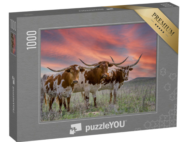 Puzzle 1000 pezzi „Bovini longhorn del Texas su un pascolo nell'Oklahoma Panhandle“