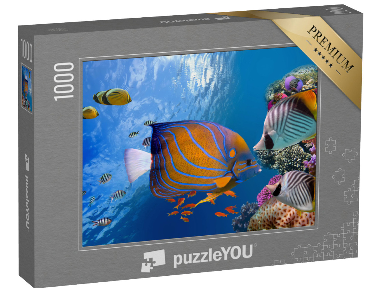 Puzzle 1000 pezzi „Incantevole mondo sottomarino, Mar Rosso“