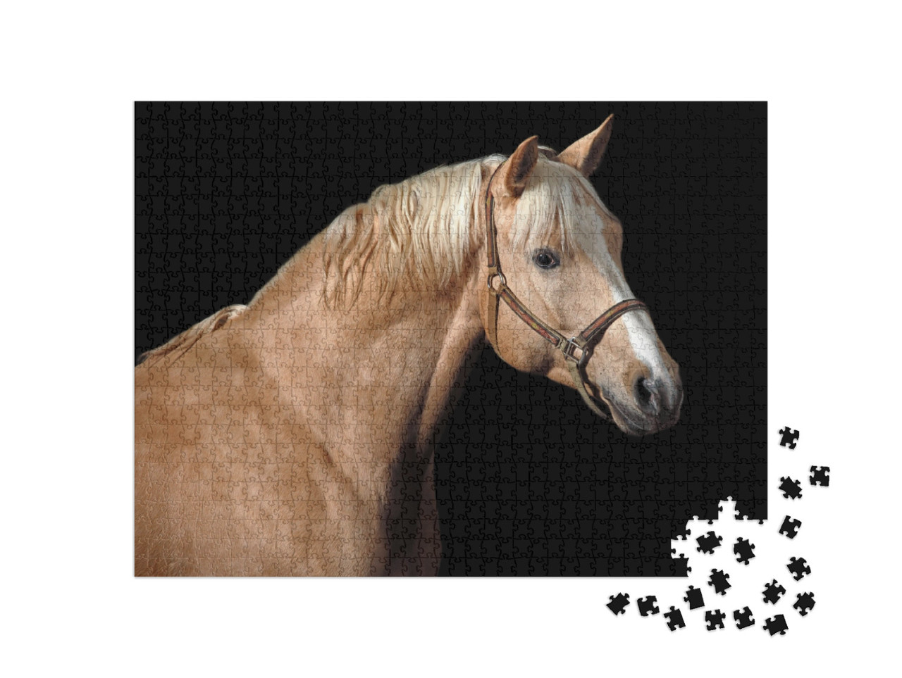 Puzzle 1000 pezzi „Cavallo palomino“