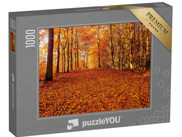 Puzzle 1000 pezzi „Una strada di foglie autunnali nella foresta“