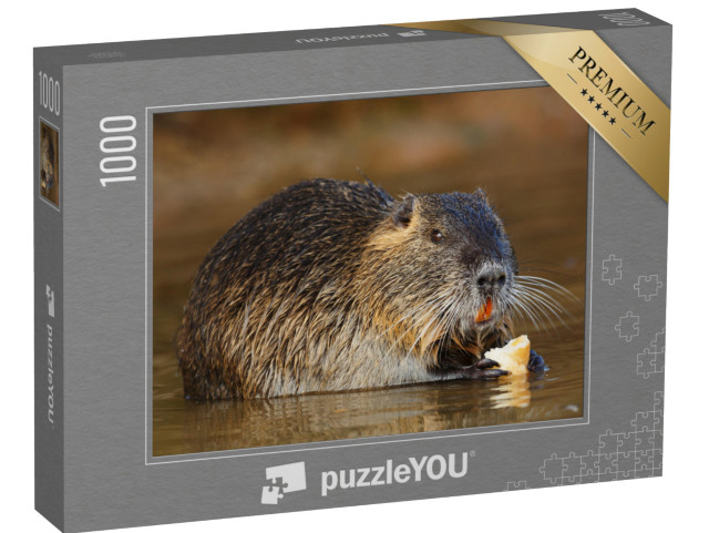 Puzzle 1000 pezzi „Un roditore Coypu che mangia“