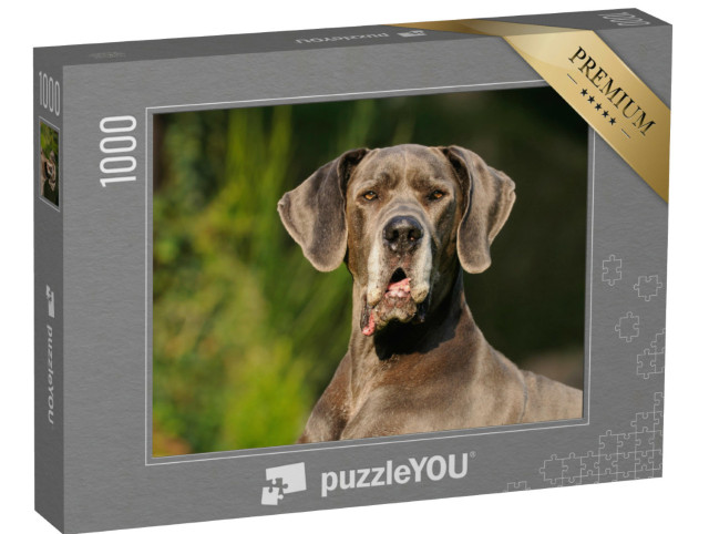 Puzzle 1000 pezzi „Alano“