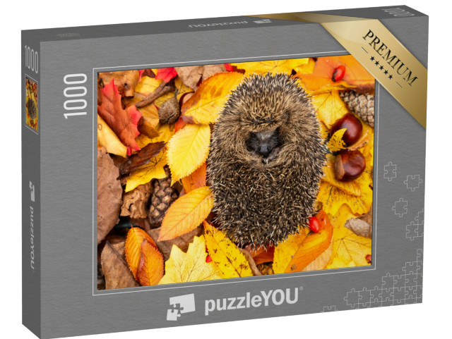 Puzzle 1000 pezzi „Un riccio rannicchiato che dorme tra le foglie d'autunno“