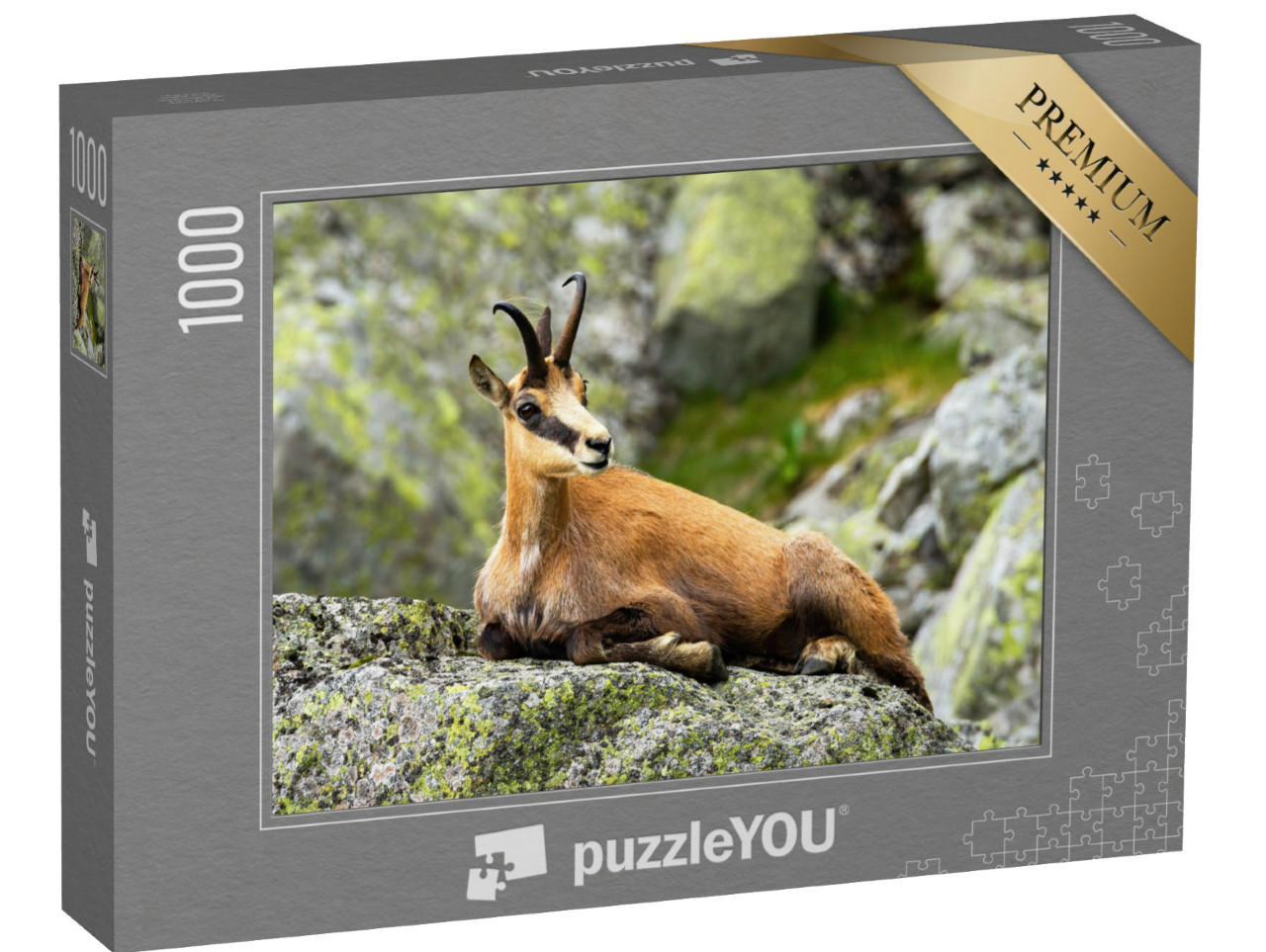 Puzzle 1000 pezzi „Camoscio Tatra a riposo su una roccia“