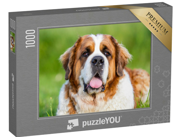 Puzzle 1000 pezzi „Primo piano di un cane San Bernardo“