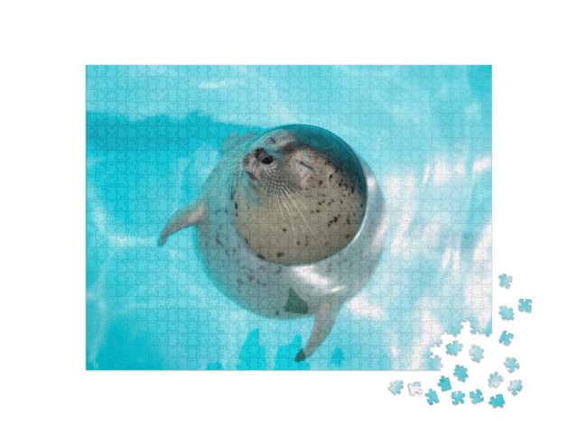 Puzzle 1000 pezzi „Cucciolo di foca, rilassato in acqua“