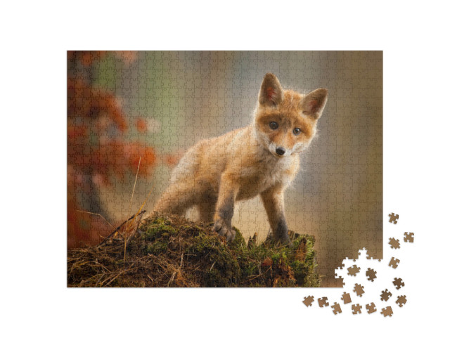 Puzzle 1000 pezzi „Una giovane volpe“