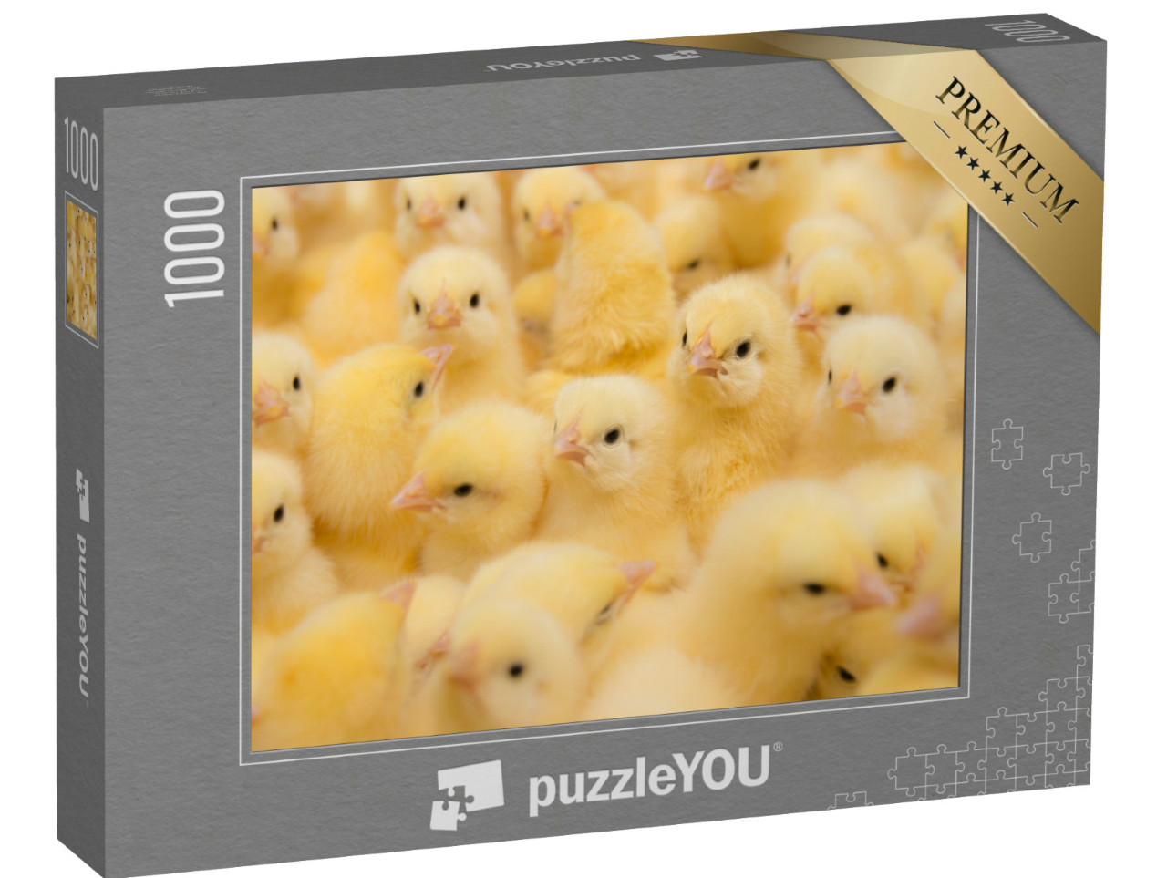 Puzzle 1000 pezzi „Pulcini appena nati“