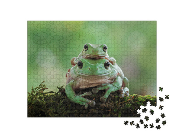 Puzzle 1000 pezzi „Femmina di raganella bianca con giovane“