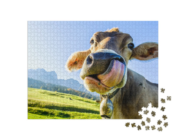 Puzzle 1000 pezzi „Mucca sulle montagne del Kaiser“