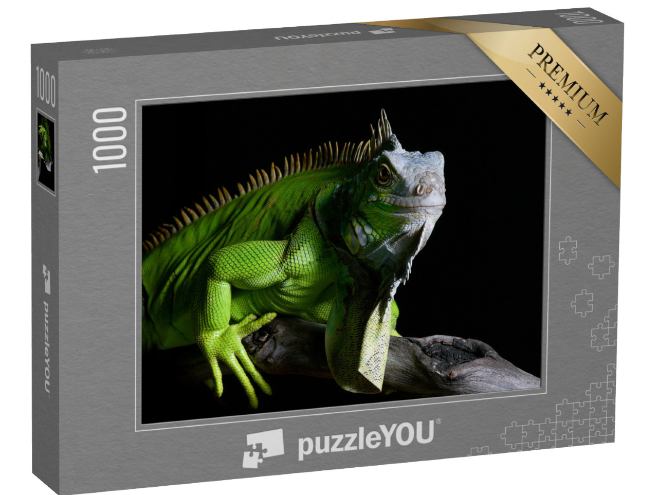 Puzzle 1000 pezzi „Grande iguana verde“