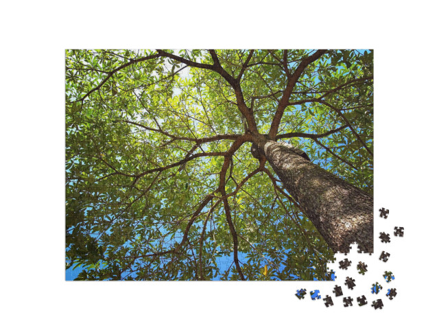 Puzzle 1000 pezzi „Una cima d'albero in estate“