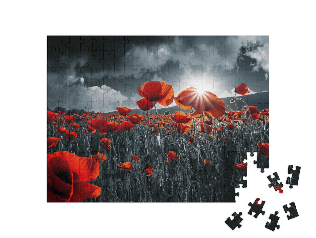 Puzzle 200 pezzi „Papaveri rossi“