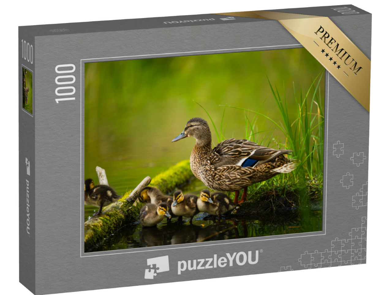 Puzzle 1000 pezzi „Femmina di anatra domestica con piccoli anatroccoli“
