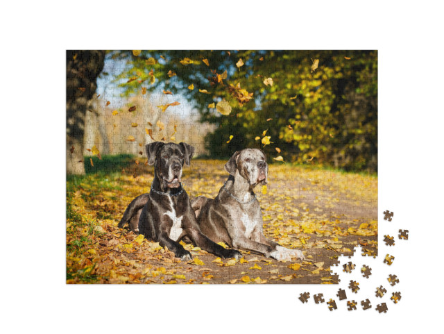 Puzzle 1000 pezzi „Due cani alani“