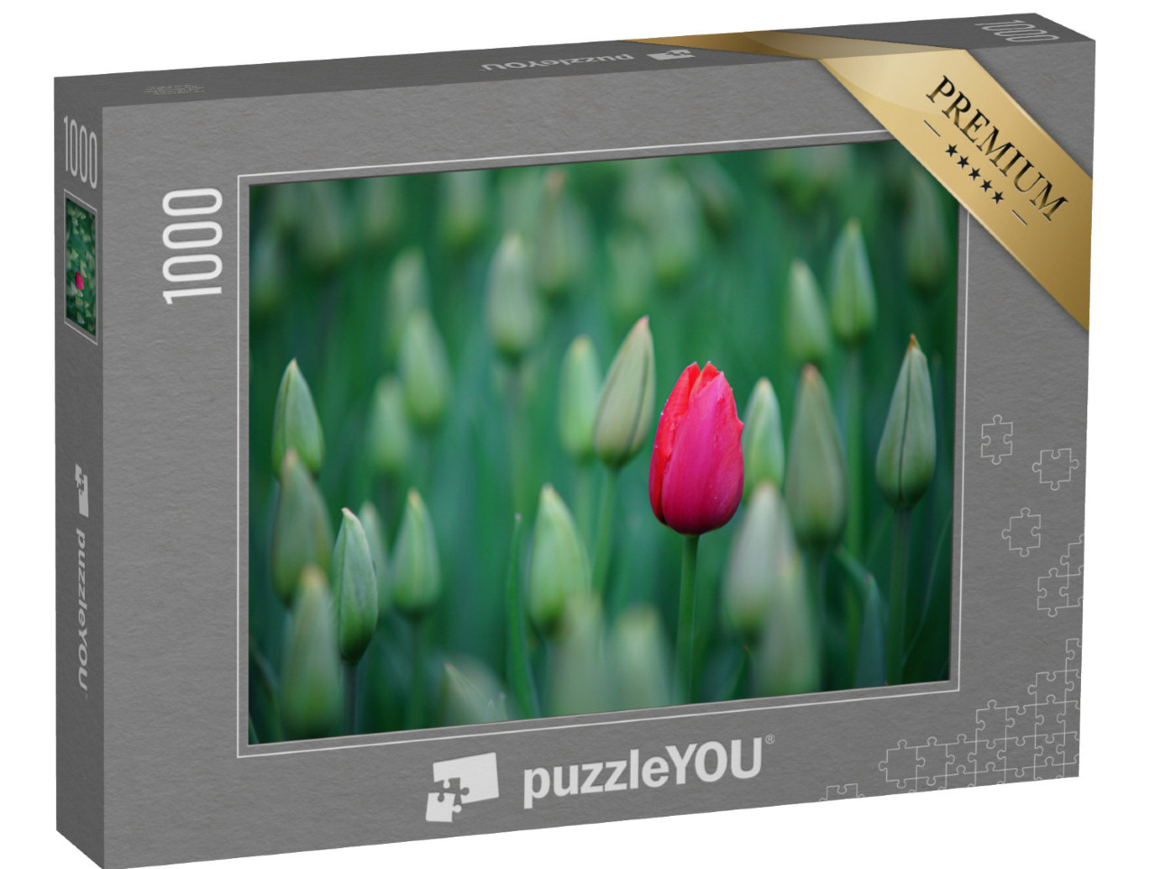 Puzzle 1000 pezzi „Un singolo tulipano rosa nel campo di tulipani“