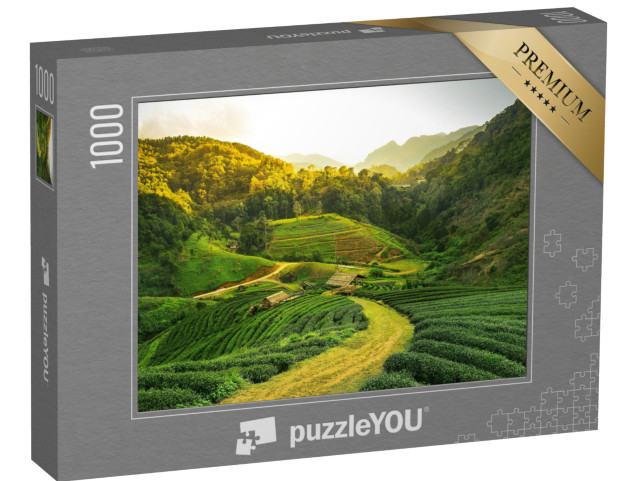 Puzzle 1000 pezzi „Vista di una piantagione di tè all'alba“