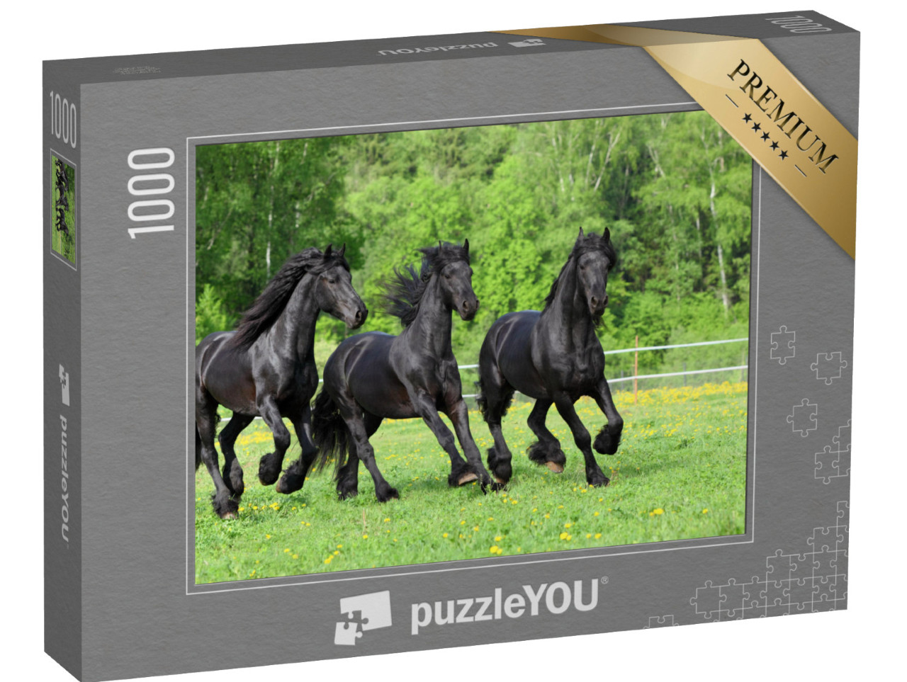 Puzzle 1000 pezzi „Cavalli frisoni al galoppo nel pascolo“