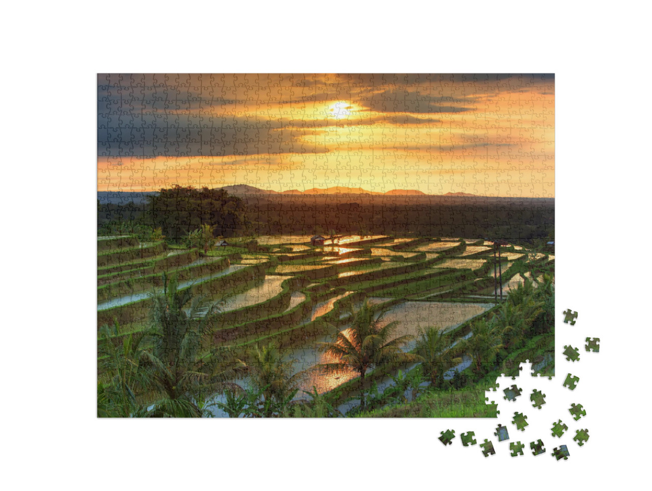 Puzzle 1000 pezzi „Terrazze di riso di Jatiluwih a Bali all'alba, Indonesia“