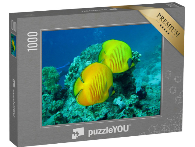 Puzzle 1000 pezzi „Barriera corallina con pesci del Mar Rosso in Egitto“