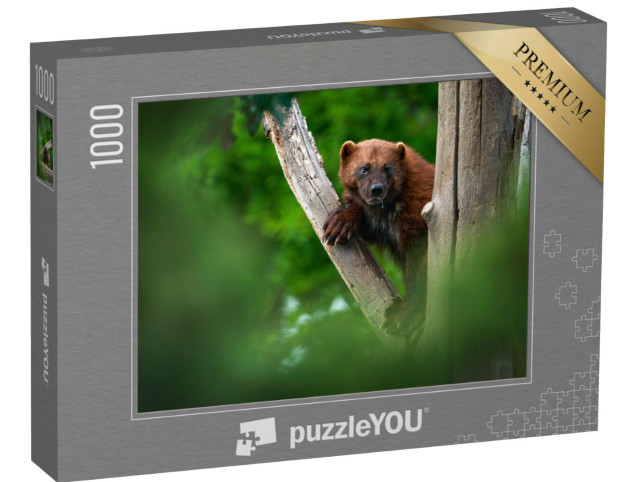 Puzzle 1000 pezzi „Un ghiottone su un tronco d'albero nella foresta“
