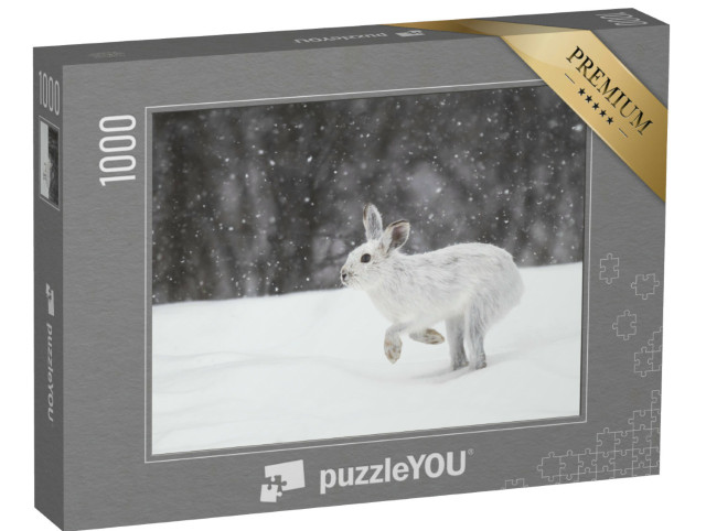 Puzzle 1000 pezzi „Lepre bianca nell'inverno canadese“