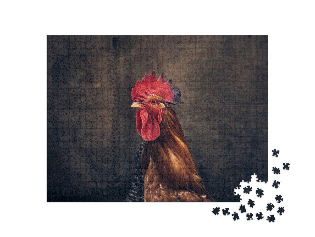 Puzzle 1000 pezzi „Un gallo orgoglioso“