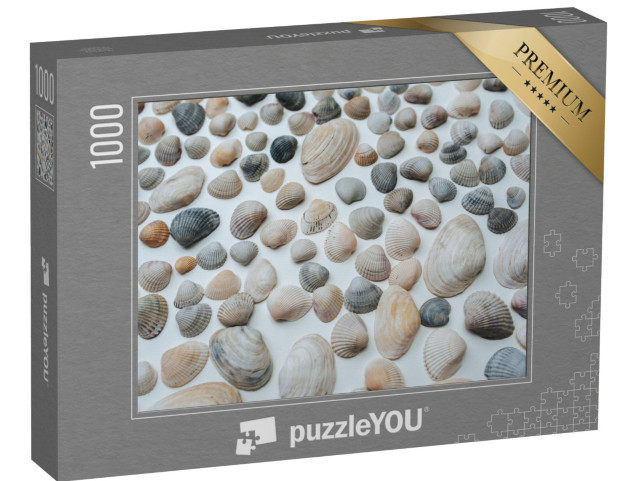 Puzzle 1000 pezzi „Tante belle conchiglie“