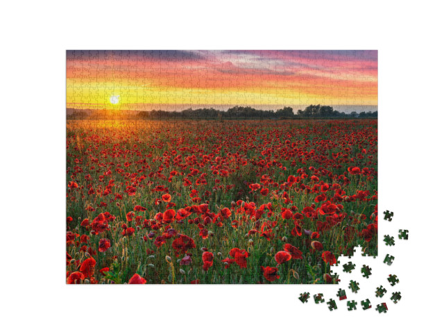 Puzzle 1000 pezzi „Bellissimo campo di papaveri all'alba“