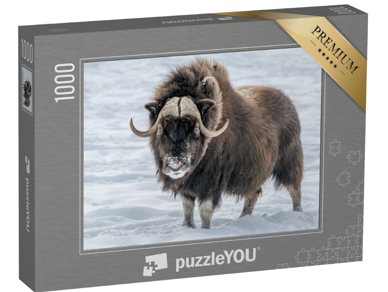 Puzzle 1000 pezzi „Bue muschiato nella neve“