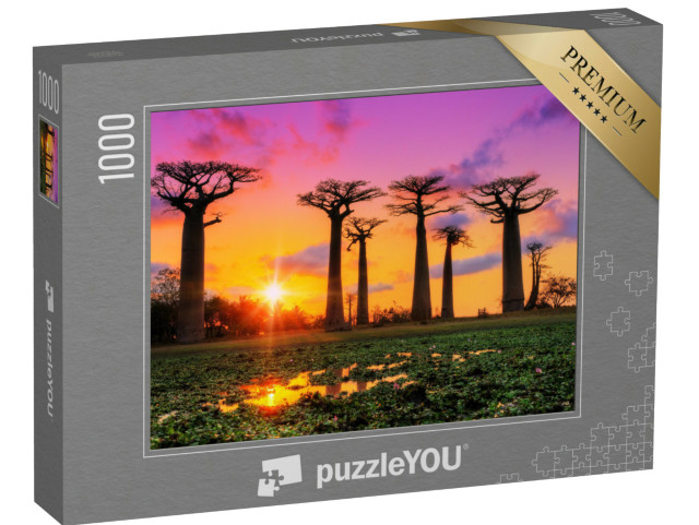 Puzzle 1000 pezzi „Gioco di colori al tramonto sul viale dei baobab, Madagascar“