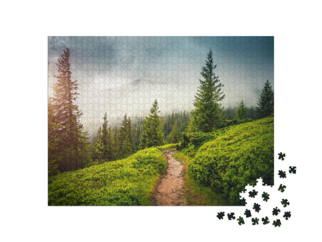 Puzzle 1000 pezzi „Sentiero nella nebbia di conifere“
