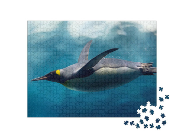 Puzzle 1000 pezzi „Foto subacquea: i pinguini si immergono sotto il ghiaccio“