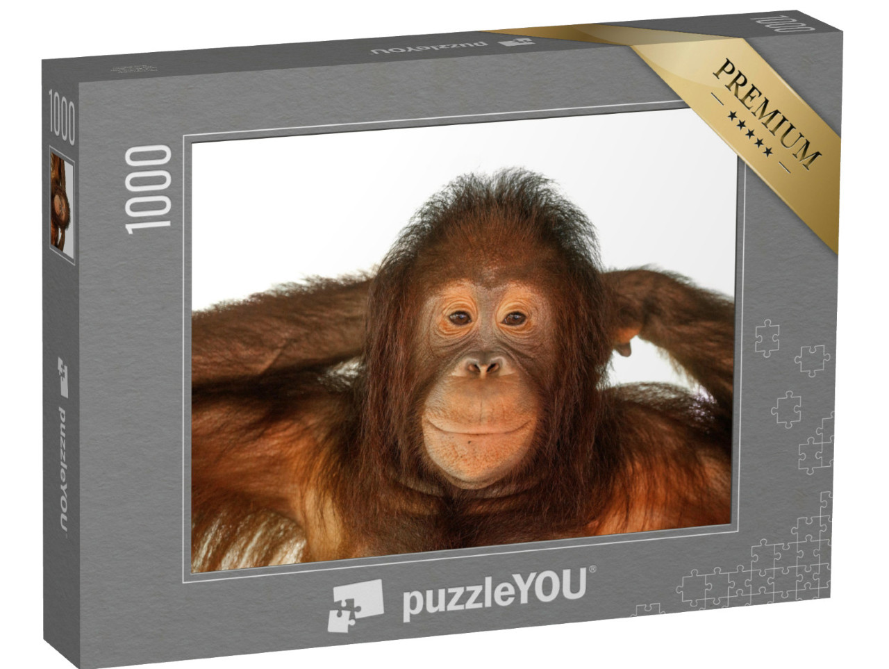 Puzzle 1000 pezzi „L'orango“