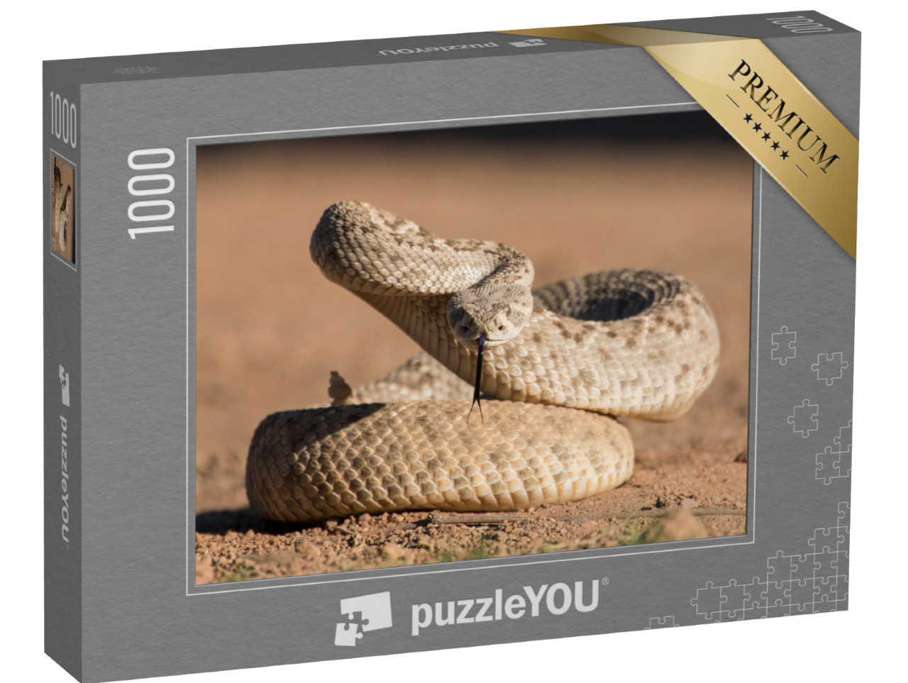 Puzzle 1000 pezzi „Giovane crotalo a dorso di diamante“